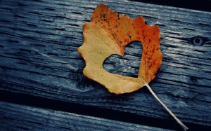 stories-of-love-for-autumn-1280x800
