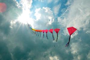 Photo Credit:  Kurt Shaffer