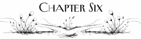 Stylized title 'Chapter Six' with decorative illustrations of plants and flowing water beneath.