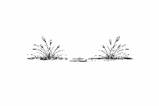 A simple black and white illustration of two clusters of grass or reeds flanking a small area in the center.